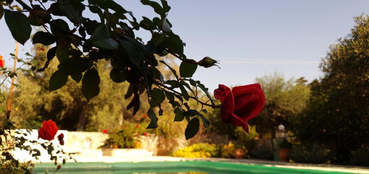 Livadi Studios With Pool Lákka Exterior photo