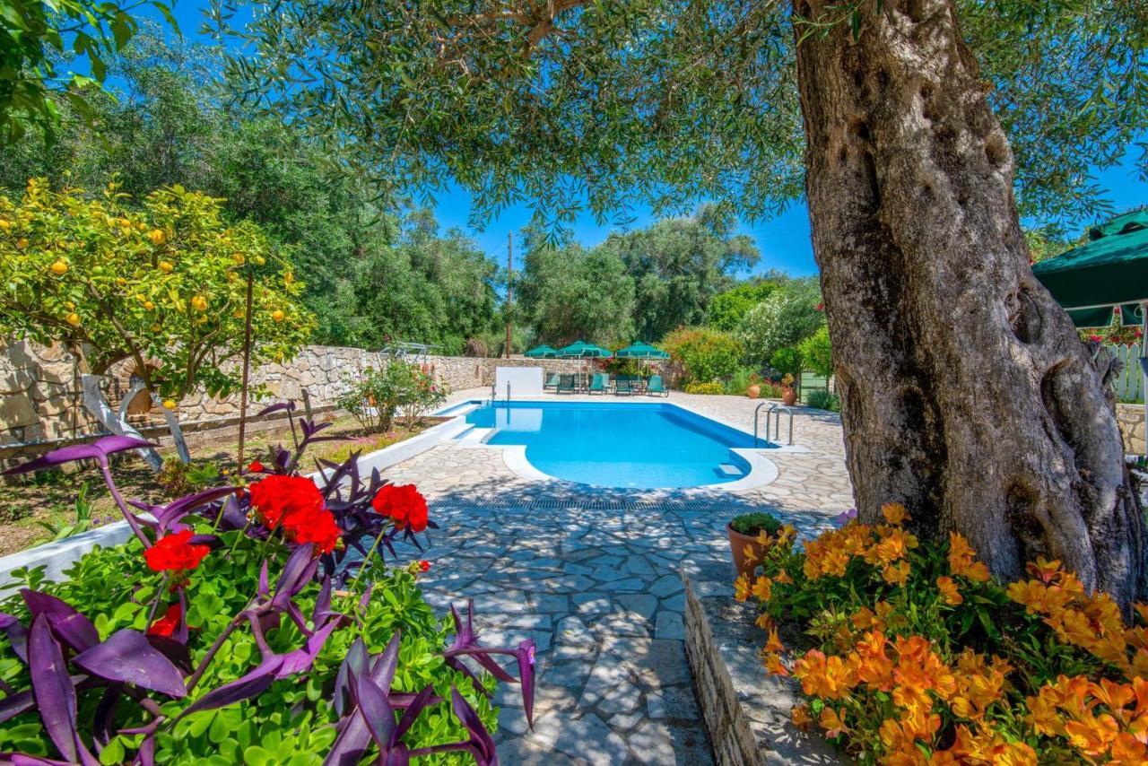 Livadi Studios With Pool Lákka Exterior photo